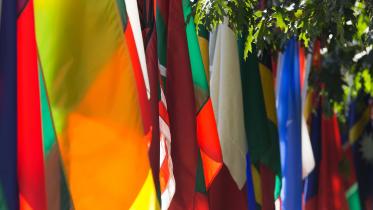 Flags from around the world. 